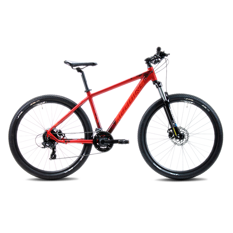 ALUBIKE MTB SIERRA R29 24V