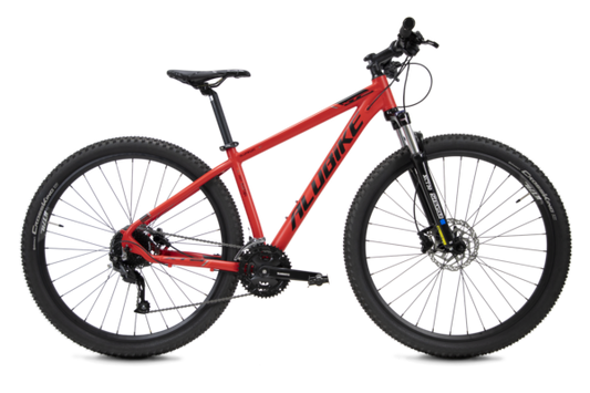 ALUBIKE MTB XTA 1.0 R29